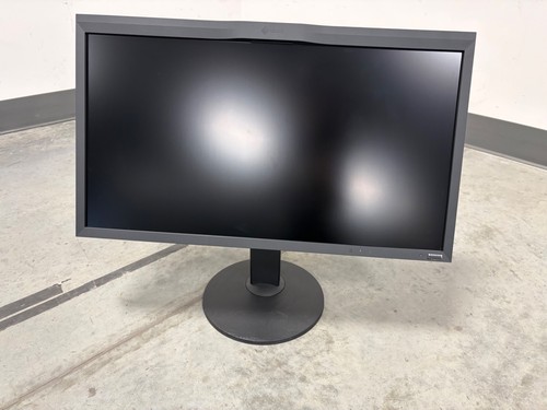 Eizo coloredge monitor cg319x - coloredge,